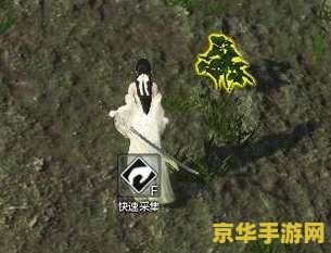 天涯明月刀拍摄花絮 天涯明月刀拍摄幕后揭秘：刀剑如梦，幕后有情