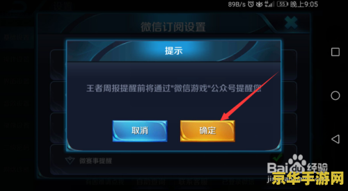 王者荣耀怎么看周报QQ 王者荣耀周报QQ查看指南与游戏深度解析