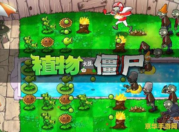 植物大战僵尸2010 植物大战僵尸：绿色防线与僵尸狂潮的较量