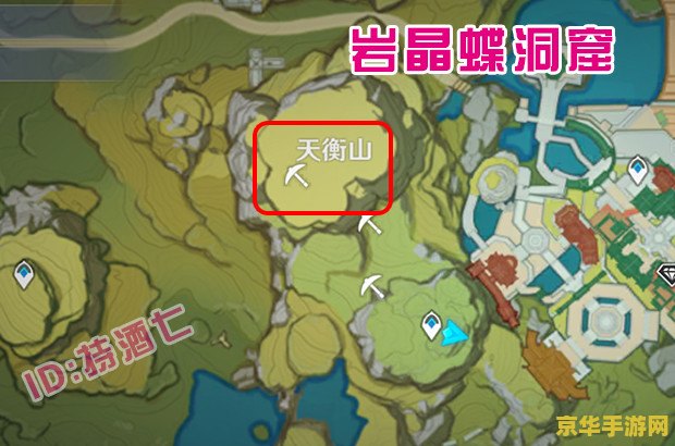 原神飘在空中的花 原神中的空中之花：探索与幻想的交织