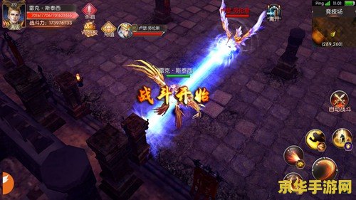 斗战神宠物 斗战神宠物：探索战斗与陪伴的奇幻世界