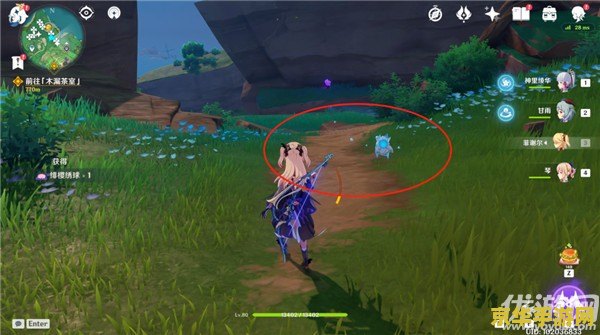 原神绣球采集 原神绣球采集全攻略 原神绣球采集 原神绣球采集全攻略