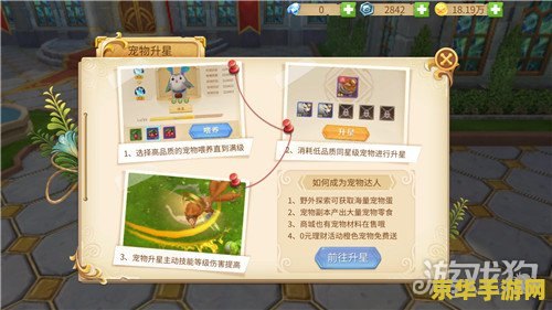 龙骑士游戏 龙骑士：时空之旅