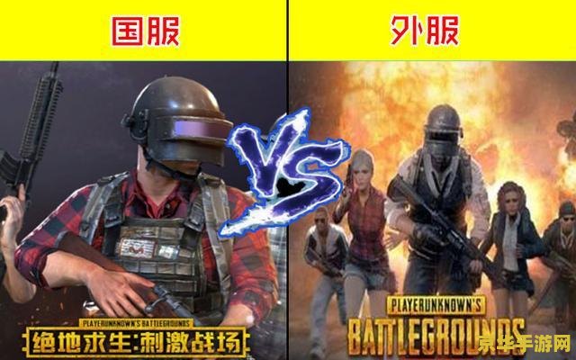 绝地求生(国际服) 绝地求生(国际服)：生存竞技的魅力与挑战