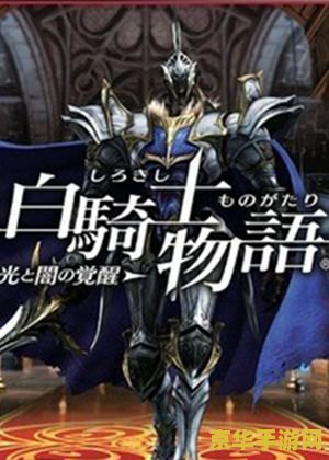 圣骑士物语 圣骑士物语：荣耀与信仰的征程
