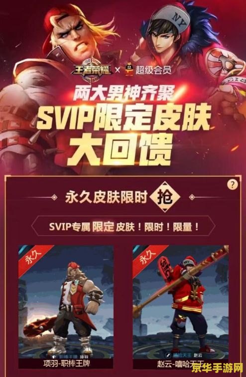 qqsvip后面的王者荣耀怎么弄的 QQ超级会员背后的王者荣耀特权解析