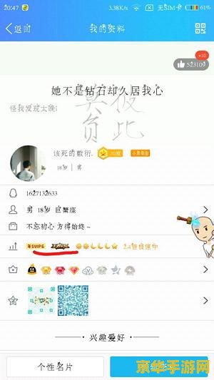 qq铭牌王者荣耀怎么弄 QQ铭牌王者荣耀设置指南