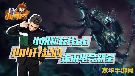 lol小鸿 LOL小鸿：英雄联盟中的璀璨新星