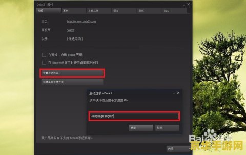 dota2英文配音 Dota2英文配音的魅力与游戏文化深度解析