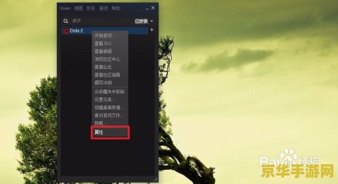 dota2英文配音 Dota2英文配音的魅力与游戏文化深度解析