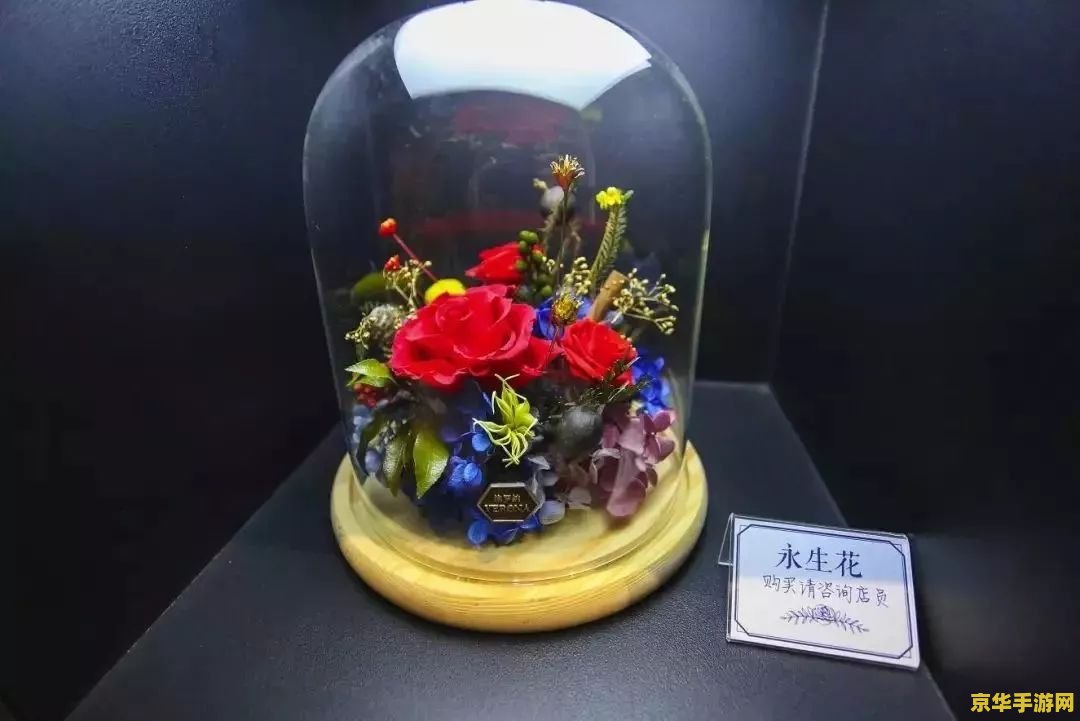 原神东花坊时雨90级面板 原神东花坊时雨90级面板深度解析 原神东花坊时雨90级面板 原神东花坊时雨90级面板深度解析