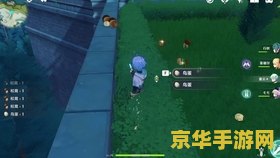 原神鸟蛋材料 原神中的鸟蛋：珍贵的食材与多样的用途