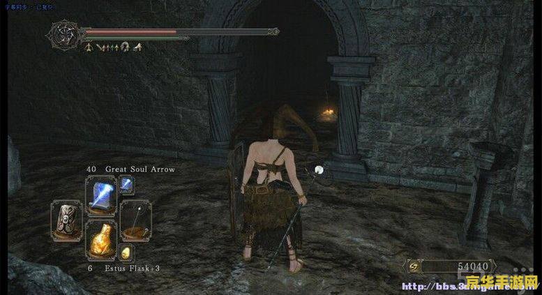 暗黑之魂2 暗黑之魂2：深渊的呼唤与不屈的抗争