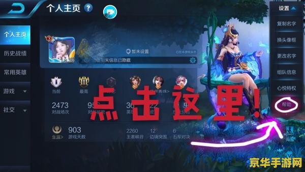 怎么样看王者荣耀的充值纪录 王者荣耀充值记录查看方法与游戏消费分析