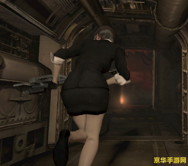 生化危机6mod 生化危机6MOD：探索游戏世界的无限可能