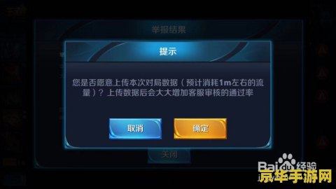 王者荣耀怎么举报才能成功 王者荣耀举报机制详解：如何有效举报不良行为？