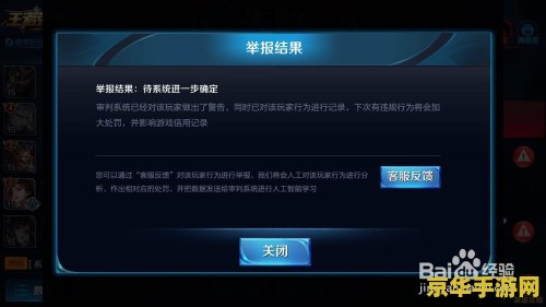 王者荣耀怎么举报才能成功 王者荣耀举报机制详解：如何有效举报不良行为？