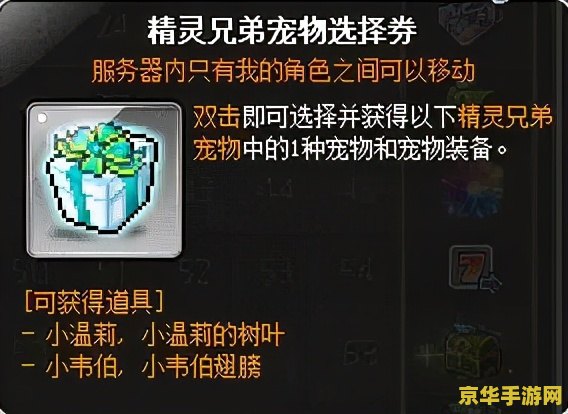 冒险岛口袋物品 冒险岛：口袋物品大揭秘