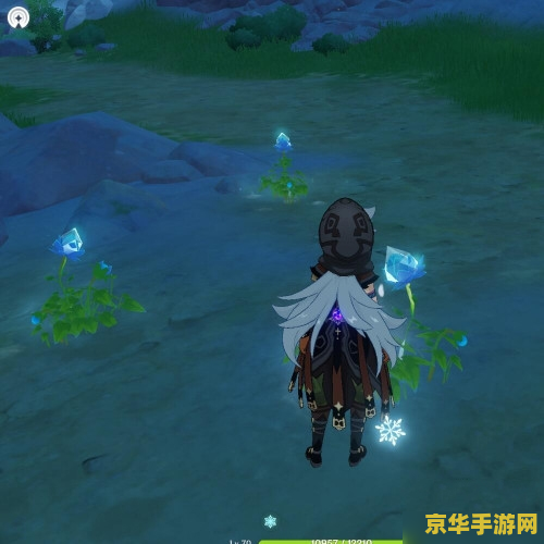 原神冰雾花怎么采 原神冰雾花采集指南