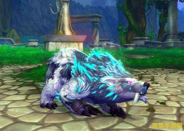wow白猫 白猫传奇：魔兽世界的新篇章