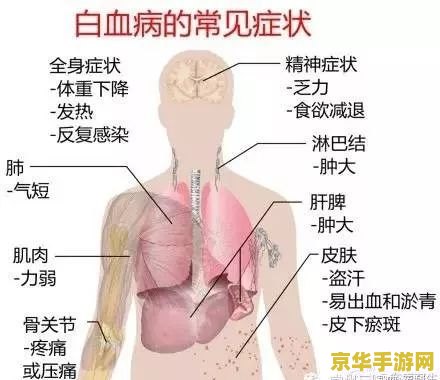 原神蛇骨矿洞前置任务 &lt;h3&gt;原神蛇骨矿洞前置任务攻略&lt;/h3&gt;