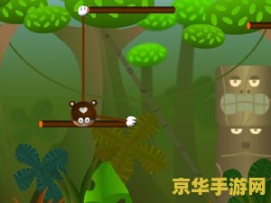 疯狂的猴子 疯狂的猴子:热带雨林的冒险之旅 疯狂的猴子 疯狂的猴子:热带雨林的冒险之旅