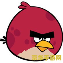 愤怒的小鸟电脑 愤怒的小鸟电脑版：经典游戏的新体验