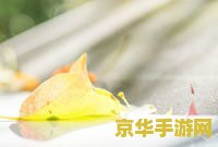 英雄联盟s赛系列皮肤 英雄联盟S赛系列皮肤：荣耀之战的视觉盛宴