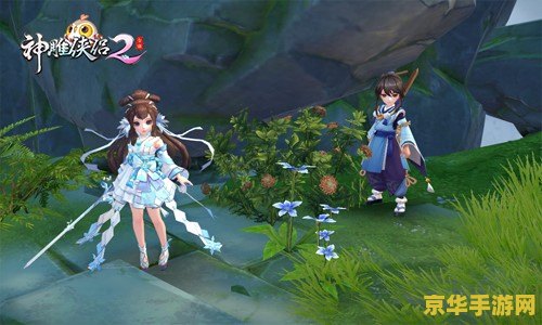 神雕侠侣宝宝 神雕侠侣宝宝：探索武侠世界的萌趣新篇章