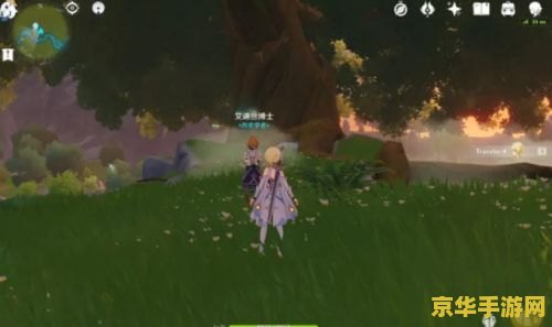 原神风花节选什么花 &lt;h3&gt;原神风花节：花的选择与节日的魅力&lt;/h3&gt;