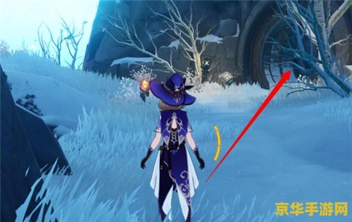 原神雪山三个匣子最终藏宝密室奖励 &lt;h3&gt;原神雪山三个匣子最终藏宝密室奖励揭秘&lt;/h3&gt;
