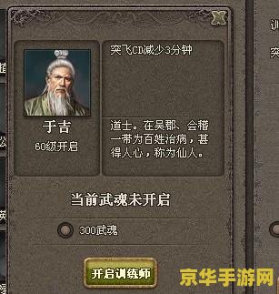 傲视天地武魂 傲视天地武魂:探索武魂世界的无尽奥秘 傲视天地武魂 傲视天地武魂:探索武魂世界的无尽奥秘