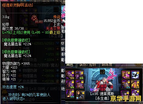 dnf复仇者穿什么甲 DNF复仇者装备选择：探索不同甲种的优劣与适用场景