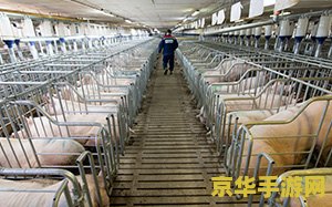 原神里面冻猪肉在哪里 &lt;h3&gt;原神中冻猪肉的秘密宝藏：龙脊雪山的冷鲜肉探索&lt;/h3&gt;