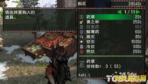 怪物猎人2g显血插件 怪物猎人2G显血插件解析与游戏深度体验