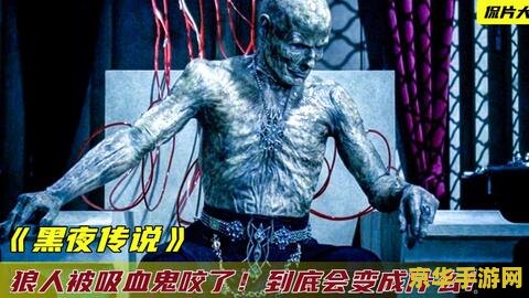 吸血鬼猎人 暗夜之影：吸血鬼猎人