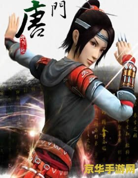 九阴真经无门派 九阴真经无门派：自由江湖，无限可能