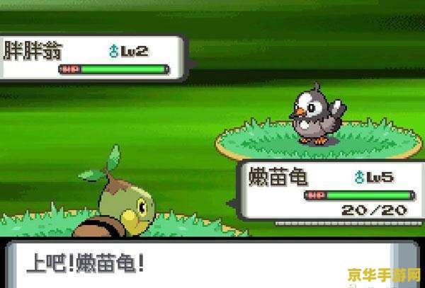 口袋妖怪珍珠钻石 口袋妖怪珍珠钻石:重温经典,探索无尽的妖怪世界 口袋妖怪珍珠钻石 口袋妖怪珍珠钻石:重温经典,探索无尽的妖怪世界