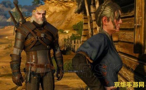 巫师3攻略 巫师3：狂猎详尽攻略指南