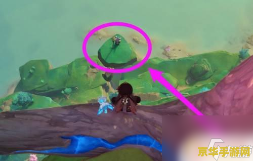 原神雷种子冒黑气 原神雷种子冒黑气：探索背后的秘密与影响