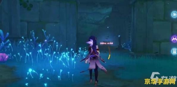 原神池中宅邸入口在哪里 <h3>原神池中宅邸入口揭秘：探索海祇岛的神秘秘境</h3>