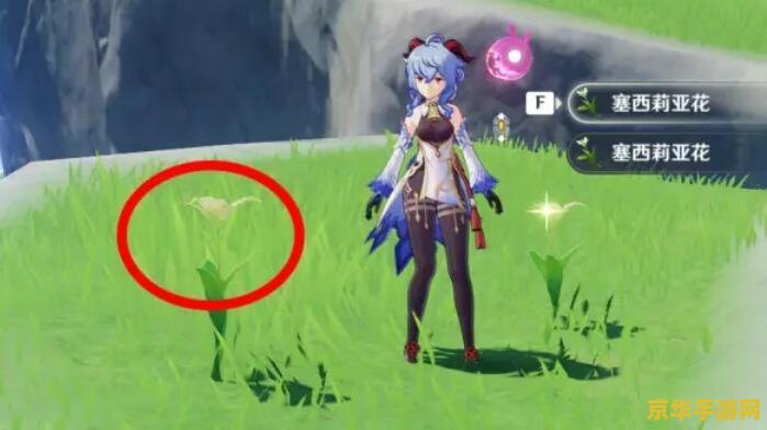 原神特产图鉴 原神特产图鉴：探索提瓦特大陆的珍稀宝藏