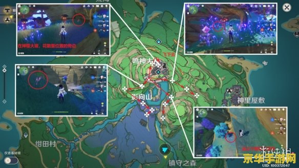 原神鸣草在哪采集 <h3>原神鸣草采集全攻略：探索鸣草的神秘世界</h3>