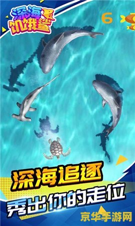 饥饿的鲨鱼 饥饿的鲨鱼：深海掠食者的生存挑战