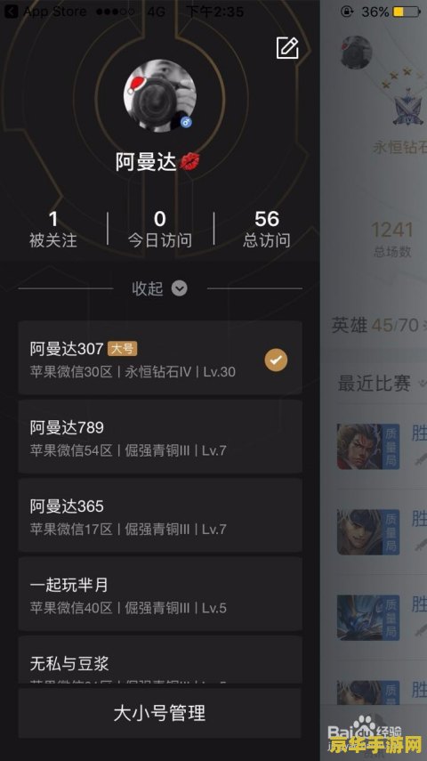 怎么隐藏王者荣耀助手里的战绩 &lt;h3&gt;王者荣耀助手战绩隐藏技巧&lt;/h3&gt;