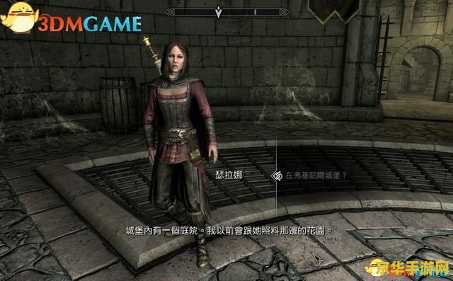 上古卷轴5:黎明守卫 上古卷轴5:黎明守卫 上古卷轴5:黎明守卫 上古卷轴5:黎明守卫