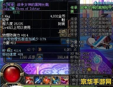 dnf刺客穿什么甲 <h3>DNF刺客装备选择：皮甲与属性搭配的完美诠释</h3>