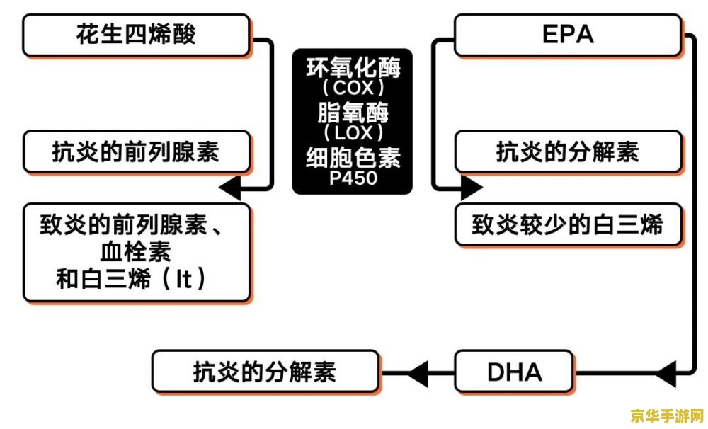 原神公子面板 原神公子面板深度解析