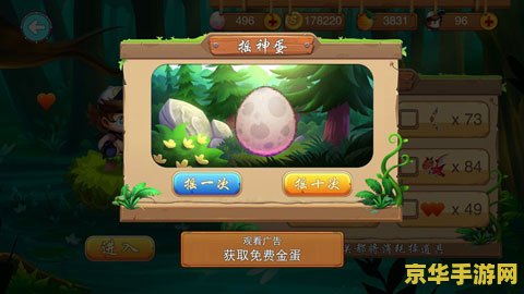 冒险岛不速之客 冒险岛：神秘访客的挑战
