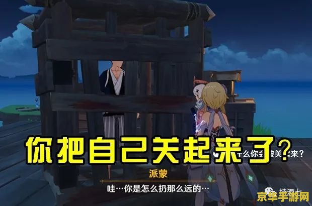 原神稻妻盗宝团的宝藏 原神稻妻盗宝团的宝藏之谜